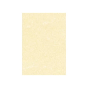 Carta pergamenata Decadry Linea Corporate A4 champagne 95 g/m² Conf. 100 fogli - T105001