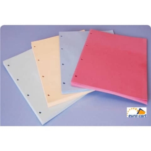 Divisori in cartoncino Manilla con fori EURO-CART 23x30 cm azzurro confezione da 100 pz. DM04AZ C/FORI_DESK