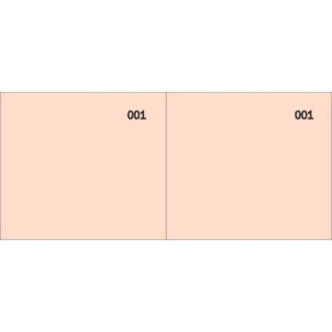 Scontrino colorato a 2 sezioni Data Ufficio blocco 100 copie prenumerate rosso - DU160000020