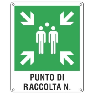 Cartello d'emergenza 40x50 cm Cartelli Segnalatori ''Punto di raccolta'' E20171Y