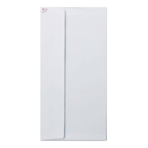 Busta bianca Blasetti Strip Zip 90 g/m² in conf. 25 buste 110x230 mm 548