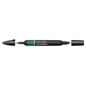 Pennarelli Winsor&Newton Promarker doppia punta fine-larga - holly G724 - 0203243