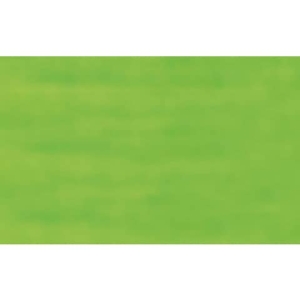 Carta velina Rex-Sadoch 50x70 cm conf. da 26 fogli verde chiaro - KV106371