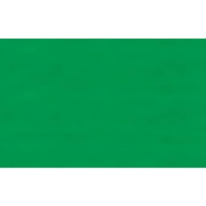 Carta velina Rex-Sadoch 50x70 cm conf. da 26 fogli verde prato - KV106472