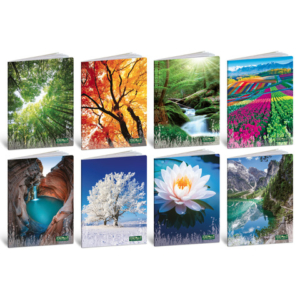 Maxi quaderno Blasetti Quadecò A4 - 80 g/m² - 20 ff - 4M - conf. 10 pezzi - 4770