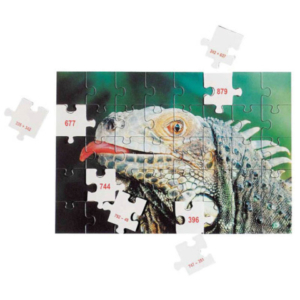 Mathpuzzle MOLTIPLICAZIONI entro il 1000 LFSC23454