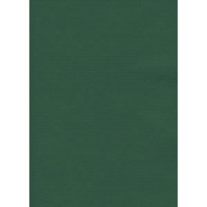 Carta regalo in fogli Rex-Sadoch formato 140x100 cm - conf. 10 pezzi - verde - S5510560