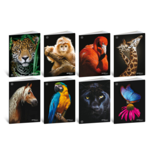 Maxi quaderni Blasetti Animal Label A4 18+1 ff carta 100 g/m² - conf. 10 pz - rigatura Q - 9295