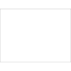 Tovaglietta Ristocart in carta bianca liscia - 30x40 cm 55 g/m² - conf. 500 pz - EYTVT1157