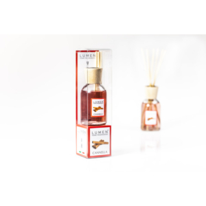 Diffusore per ambienti con bastoncini Lumen 100 ml Lumen - cannella - X540103